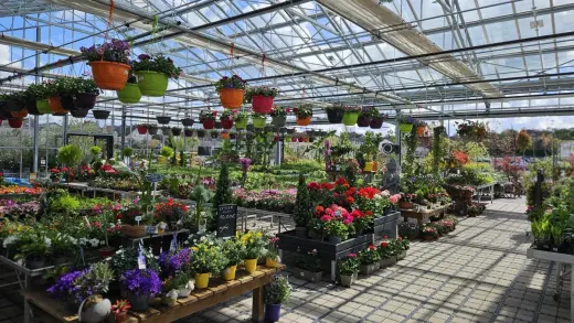 Jardinerie Fleurs et Bonheur