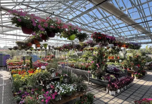 Jardinerie Fleurs et Bonheur