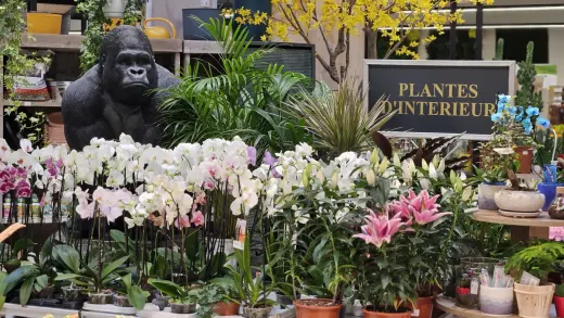 Jardinerie Fleurs et Bonheur