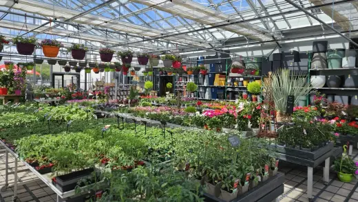 Jardinerie Fleurs et Bonheur